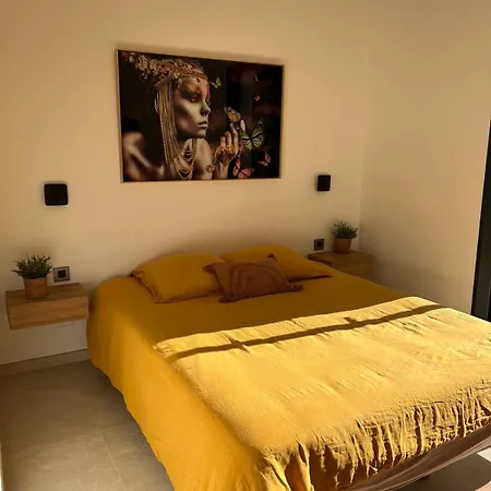 Moderne Avec Piscine 别墅 阿维尼翁新城