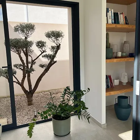 Moderne Avec Piscine *