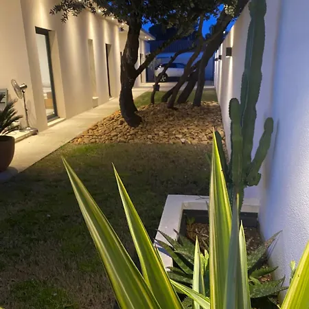 Moderne Avec Piscine Chauffee Villa Villeneuve-les-Avignon