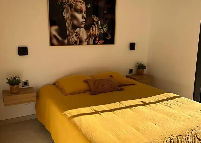 Moderne Avec Piscine Chauffee Villa Villeneuve-lès-Avignon