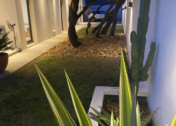 Moderne Avec Piscine Chauffee Villa Villeneuve-lès-Avignon